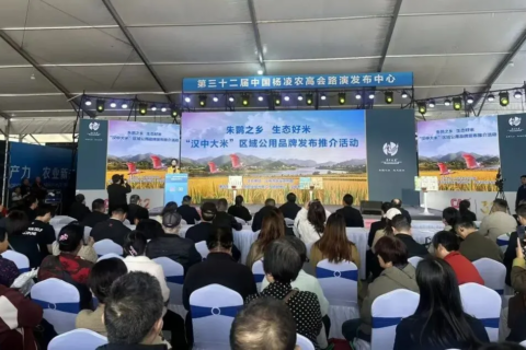 “漢中大米”區域公用品牌發布！